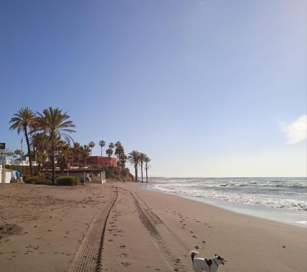 In Costa Del Sol Apartament *